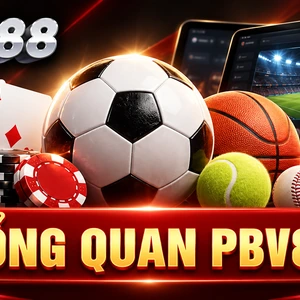 TỔNG QUAN PBV88